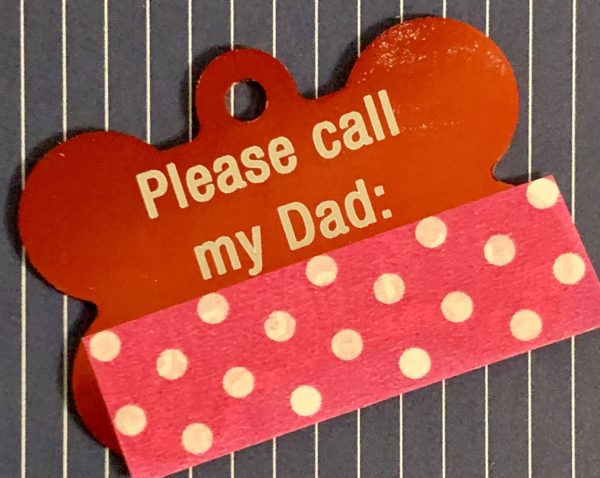 Metal Pet Tags - Image 3